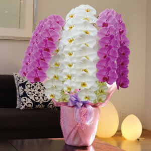 Y  Ӓ ij 3{E5{ g~bNX ×sN Mtg  JXj JƏj ړ]j ACj ij Ij  v[g jp v[