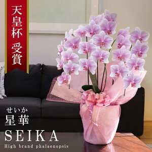 Y Ӓ  3{ 24ց` y؁ijsN Of[Vz Ԏ Yn j v[g  Mtg  蕨 ̓  a JXj JƏj