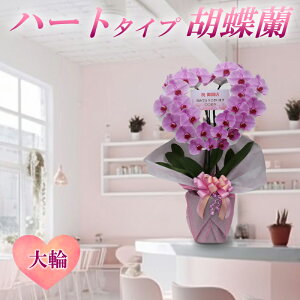 Y Ӓ yn[g^CvӒz Yn  2{ 28ց` Ԏ 摜zM Yn j  Mtg 蕨 ̓ Mtg a JXj JƏj ړ]j 