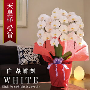 Ӓ  3{ 24ֈȏ 10,499~ Y ԎyIׂ2Fz 摜zM Q Yn j v[g  Mtg 蕨 ̓Mtg  a JXj JƏj ړ]