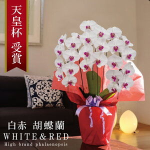 Ӓ  3{ 24ֈȏ 10,499~ Y ԎyIׂ2Fz 摜zM Q Yn j v[g  Mtg 蕨 ̓Mtg  a JXj JƏj ړ]