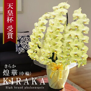 oוs 񖢒 Ӓ  F YԎ 5{ 65ց` 45,000~y(炩)z 摜zM Yn j v[g  Mtg  蕨 ̓ a J