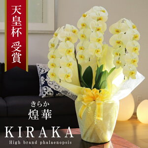 oוs 񖢒Ӓ F  Y Ԏ 3{ 30ց` 20,000~y(炩)z 摜zM Yn j v[g  Mtg  蕨 ̓ a J