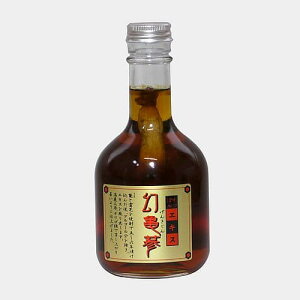 ۂ GLX T 320g YۂGLXhN ꝎQ(񂫂)  lQz ۂ {s  yY V X  Mtg 蕨 v[g i 䒆