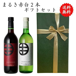 yzR bB C Ԕ CZbg   Zbg  720 ml × 2{ ݔ v[g ̓ j  i AE ސE  j LO Ê p MtgW  Y 