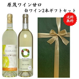 【送料無料】【のし対応】山梨県 甲州 ワイン セット 750ml × 2本 飲み比べ プレゼント 母の日 お祝い 父の日 結婚 昇進 就職 退職 内 祝い 記念日 古希 贈答用 ギフト特集 お酒 国産 山梨 原茂ワイン 熨斗 甘口 デラウェア 白ワイン