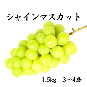 yzRY VC}XJbg 1.5kg Mtg 蕨 p  t[c ̂  ʕ Ԃǂ hV̓ Hފ I l \񏤕i 9{`\