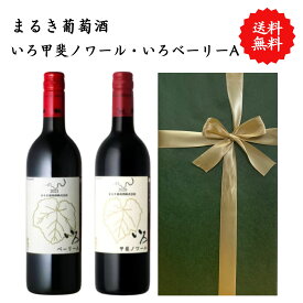 【送料無料】山梨県 まるき葡萄酒 いろベーリーA いろ甲斐ノワール ワイン 赤 セット 勝沼 750 ml × 2本 飲み比べ プレゼント 母の日 お祝い 結婚 昇進 就職 退職 内 祝い 記念日 古希 贈答用 ギフト特集 お酒 熨斗 父の日