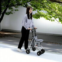 手押し車 シルバーカー 座面広い シルバーカー ミドルタイプ ウェルキャリー 高さ調節 折りたたみ カート 軽量 コンパクト 買い物 散歩 ブレーキ付き シニア 高齢者 介護 おしゃれ ショッピングカート 手押し車 自立 アルミ製 介護用 歩行補助 介護用品 赤ダマスク カテゴリ