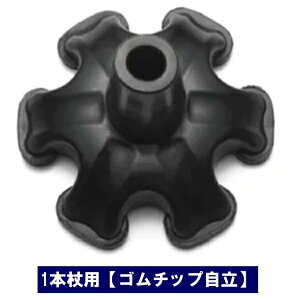    j  S S`bv  XebL v[g 6_ڒn 蕨 pi  ~L kC  e ʓrKv