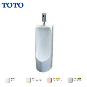 TOTO Ǌ|֊ (ꃊbvErrǗp) tbVouidr^Cvj֊ obNnK[t y UFH500 / TEA62ADS / T9R zyMSIEFuVbvzyz