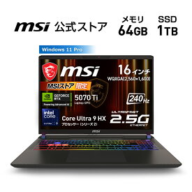 NVIDIA GeForce RTX 5070 Ti Laptop GPU /Core Ultra 9 プロセッサー 275HX/16インチ/240Hz/64GB/1TB（M.2 NVMe）/約2.7kg/ゲーミングノートPC/Vector-16-HX-AI-A2XWHG-0251JP