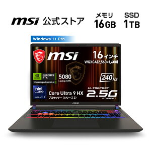 NVIDIA GeForce RTX 5080 Laptop GPU/Core Ultra 9 vZbT[ 275HX/16C`/240Hz/16GB/1TBiM.2 NVMej/ő6ԁiJEITA 3.0 ĐjAő8ԁiJEITA 3.0 AChj/2.7kg/Q[~Om[gPC/Vector-16-HX-AI-A
