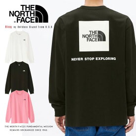 【THE NORTH FACE ザ・ノースフェイス】 ロンT Tシャツ 長袖 バックプリント ロゴ ザノースフェイス メンズ 国内正規品 インポート ブランド 海外ブランド アウトドアブランド NT82333