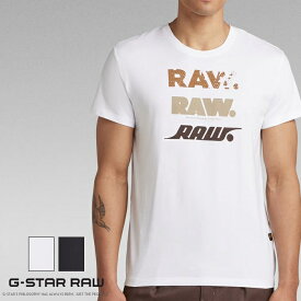 ジースターロウ tシャツ 半袖 ロゴ プリント レギュラーフィット G-STAR RAW ジースターロー gstar メンズ 国内正規品 インポート ブランド 海外ブランド D22379-336