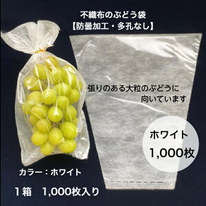 y1,000zh܉H Ԃǂ  sDz zCg oחp Op Ih Ԃǂ ʋCIh~ Eh~ ܂Ȃ H h