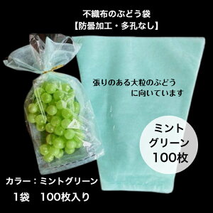 �y100�����z�h�܉��H �Ԃǂ� �� �s�D�z �O���[�� �o�� �O�p�� S�T�C�Y���I��h�� �Ԃǂ��� �ʋC���E���h�~ �܂�Ȃ� ���H �h�� �~���g �u���[