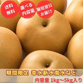 梨 なし 産地厳選 幸水梨 新水梨 南水梨 秋月など 季節限定 選べるサイズ フルーツ 果物 ギフト 贈答用