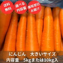 人参 にんじん 2Lまたは3L 大きいサイズ 業務用 ご家庭用 ニンジン 新鮮野菜