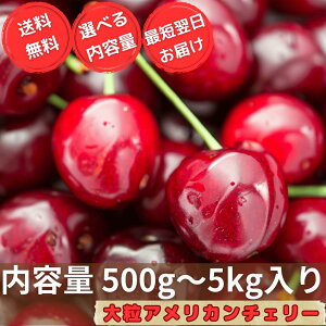 嗱 AJ`F[   It[c ʕ Gߌ i MtgȂ American Cherries