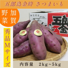 五郎島金時 秀品 Mサイズ さつまいも 加賀野菜 ほくほく 焼芋 石川県産 ギフト 贈答用にも 選べるサイズ