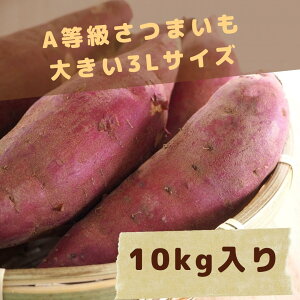 Â ܂ Ai VNXC[g܂͍g͂邩܂͍g 3L 傫TCY e N _CGbg Ɩp HpȂǂ