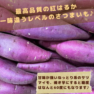 Iׂ ܂ VNXC[g g͂邩 g 5kg t錧Y e ÂĂȂǂ e _CGbg N Tc}C