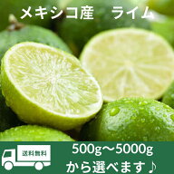 【送料無料！】メキシコ産 ライム 選べる内容量