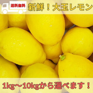    傫 AJ `Y t[c ʕ IׂTCY e ƒp ƖpȂ