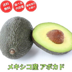 アボカド メキシコ産 選べる個数 ギフト ご家庭用 ダイエット 健康 美容 大容量 業務用にも