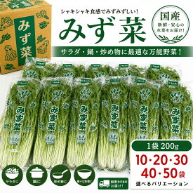 国産 水菜 みず菜 みずな 業務用 大容量 新鮮野菜 シャキシャキ食感 サラダ 鍋 パスタ 炒め物 飲食店向け 家庭用