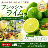 【送料無料！】メキシコ産 ライム 選べる内容量