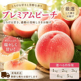 桃 山梨県産 もも 糖度12度以上 プレミアムピーチ 選べるサイズ 季節限定 ギフト 贈答用など フルーツ 果物