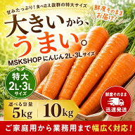 人参 にんじん 2Lまたは3L 大きいサイズ 業務用 ご家庭用 ニンジン 新鮮野菜
