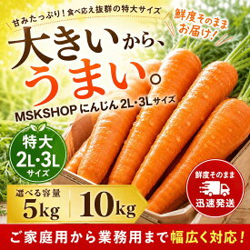 人参 にんじん 2Lまたは3L 大きいサイズ 業務用 ご家庭用 ニンジン 新鮮野菜