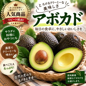 アボカド メキシコ産 選べる個数 ギフト ご家庭用 ダイエット 健康 美容 大容量 業務用にも
