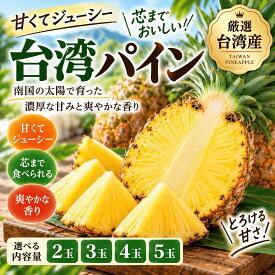 台湾パイン パイナップル 高糖度 約19度 芯まで食べれる 季節限定 ギフト 贈答用にも