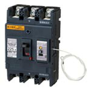 �p�i�\�j�b�N BKWN32259 BKWN-225 3P225A�ؑ�