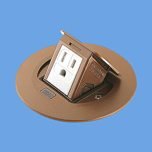 �p�i�\�j�b�N DU1102DK �Z��pF�^�A�b�v�R���ی^ 1�R���A�[�X�t �I�[�N 2P 15A 125V
