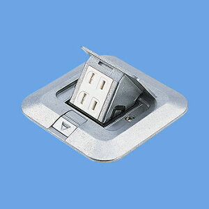 pi\jbN DU53402P AbvRVo[ rEXܗp p^ 2Rp bNt 2P15A 125V