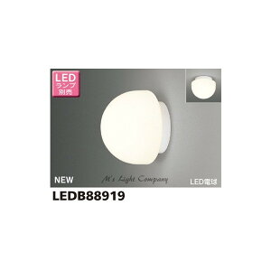  LEDB88919 OuPbg LEDd^Cv VEǖʐp hEhJ` LEDvʔ