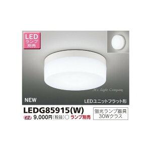 東芝 LEDG85915(W) LED屋外小形シーリング 防雨形 蛍光灯30W相当 ランプ別売 『LEDG85915W』