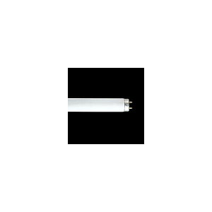  FLR40SN/M/36 ǃsbhX^[g F wFLR40SNM36x