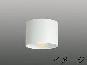 OH EL-C1010AL/W AHN LEDV[O_ECg LEDNX100 V[O wELC1010ALWAHNx