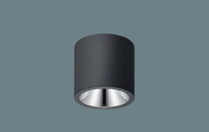 �p�i�\�j�b�N NCN25313SLE1 LED���^�V�[�����O���C�g �V�䒼�t�^ �d���F �r�[���p40�x �L�p�^�C�v �����Ռ��p30�x FHT42�`1������