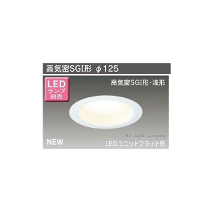  LEDD85000N LED_ECg 125 fM{Hp M60W vʔ
