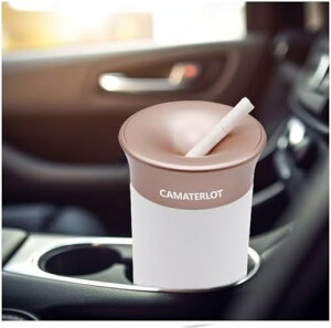 DM,ACRXƂ̌݊,DM , DM,dq^oR DM,DM e LȂ,Mtg