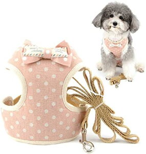 p n[lX ^ 킢 ʕ n[lX [hZbg      ʋC bV