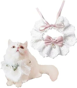  p[ƃ[X̒lN^C Xgbv (MTCY, sN)