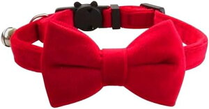 ܂̔g L  ̎ qL ^ ^ bh